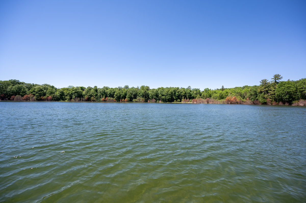 Northern Wisconsin - Photo 6