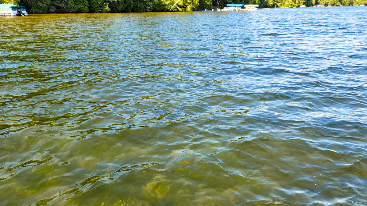 Northern Wisconsin - Photo 1