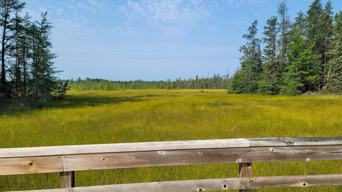 Northern Wisconsin - Photo 2