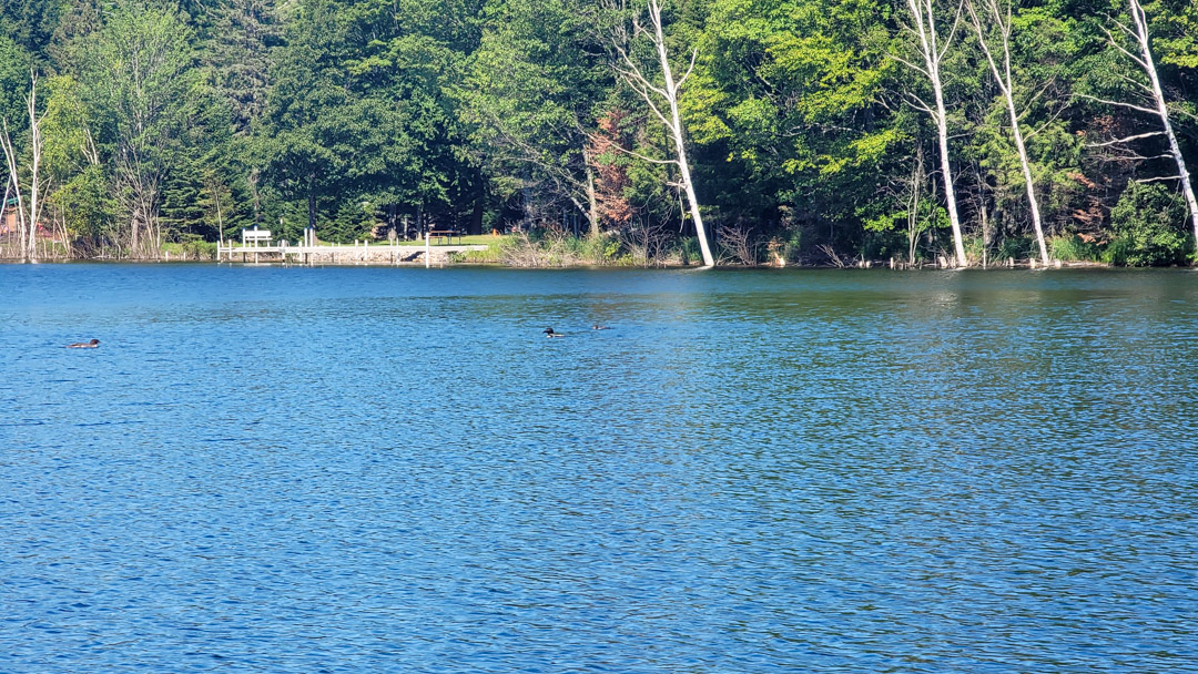 Northern Wisconsin - Photo 2