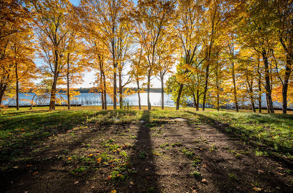 Northern Wisconsin - Photo 3