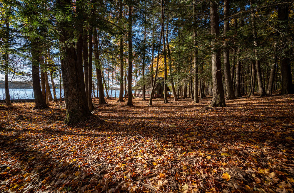 Northern Wisconsin - Photo 6