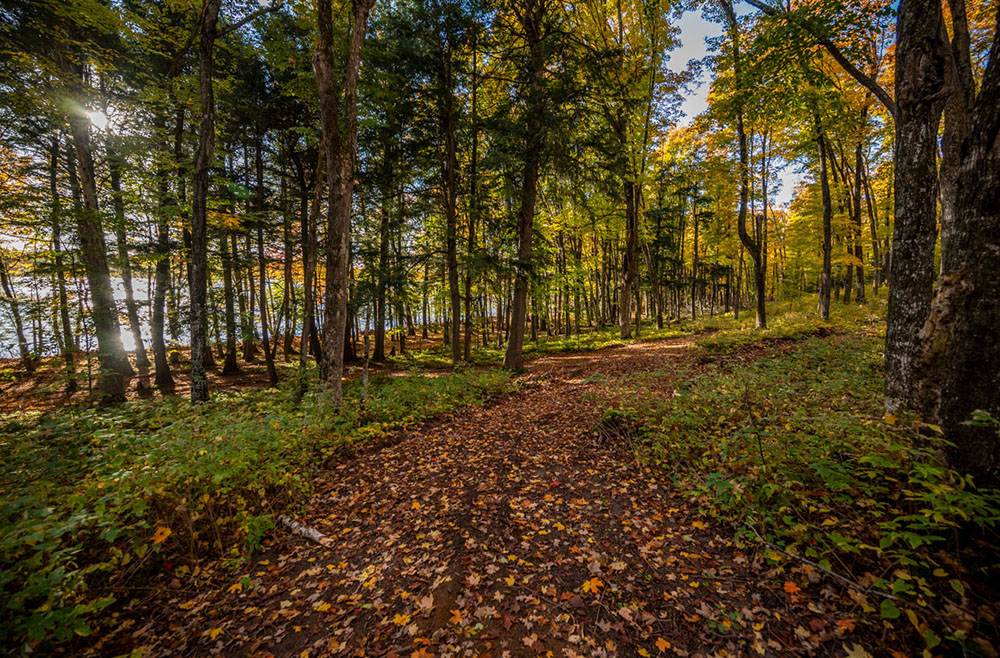 Northern Wisconsin - Photo 8