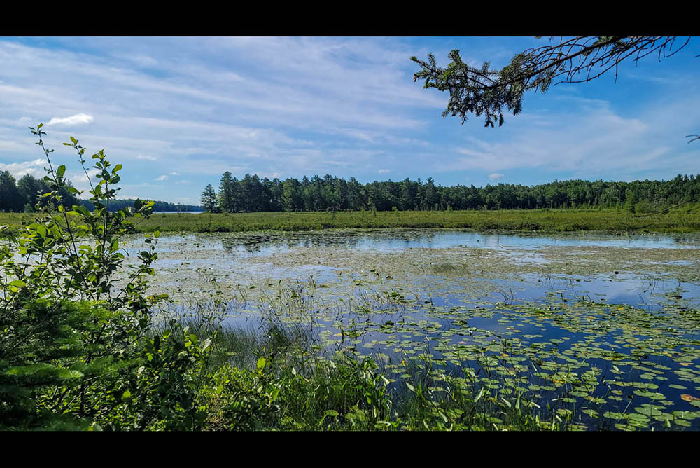 Northern Wisconsin - Photo 1