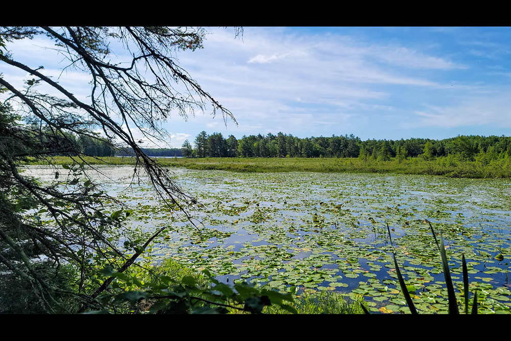 Northern Wisconsin - Photo 2