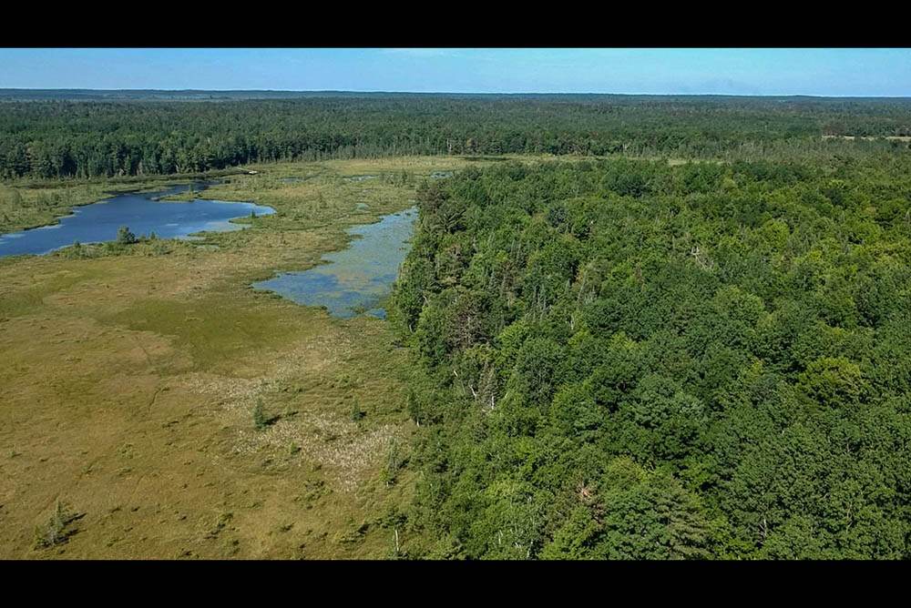 Northern Wisconsin - Photo 4