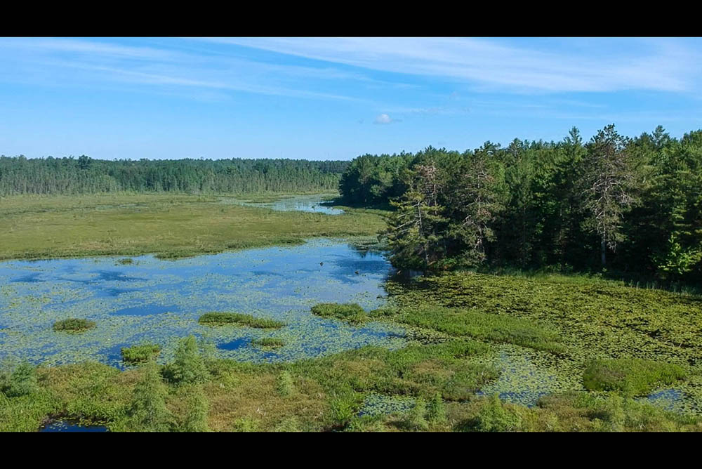 Northern Wisconsin - Photo 7