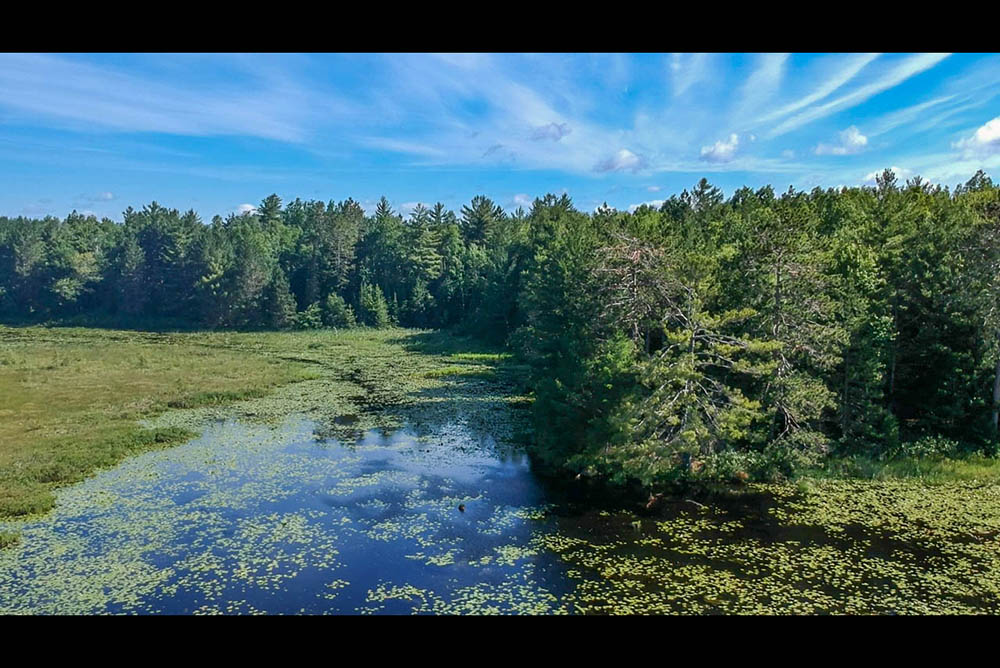 Northern Wisconsin - Photo 9