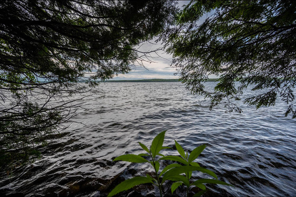 Northern Wisconsin - Photo 8