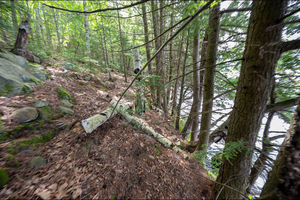 Northern Wisconsin - Photo 9