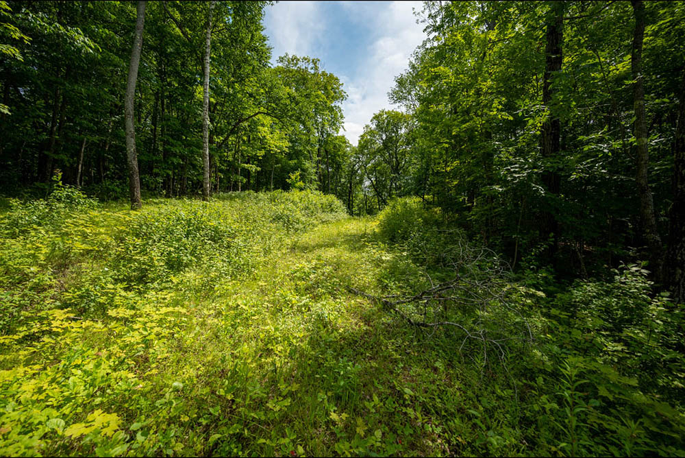 Northern Wisconsin - Photo 10