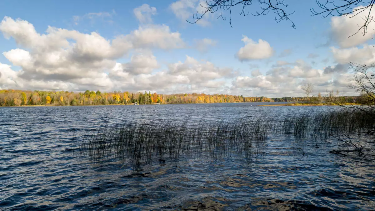 Northern Wisconsin - Photo 2