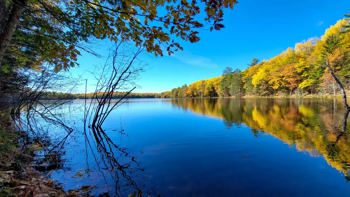 Northern Wisconsin - Photo 2