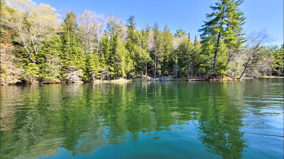 Northern Wisconsin - Photo 10