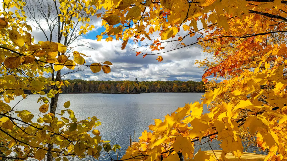 Northern Wisconsin - Photo 2