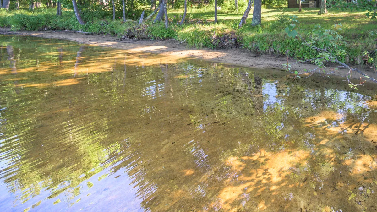 Northern Wisconsin - Photo 2