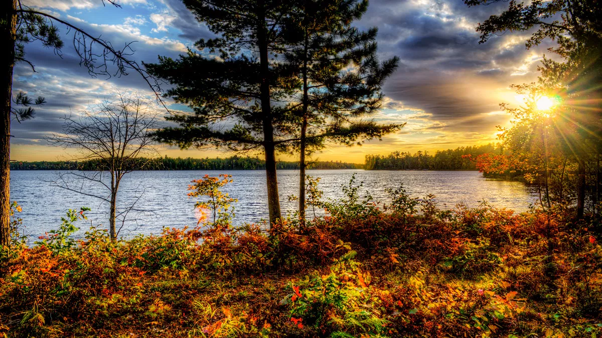 Northern Wisconsin - Photo 4