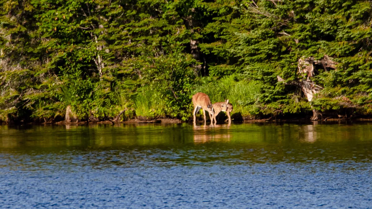 Northern Wisconsin - Photo 9
