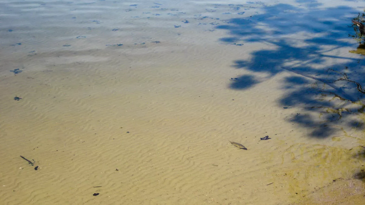 Northern Wisconsin - Photo 18