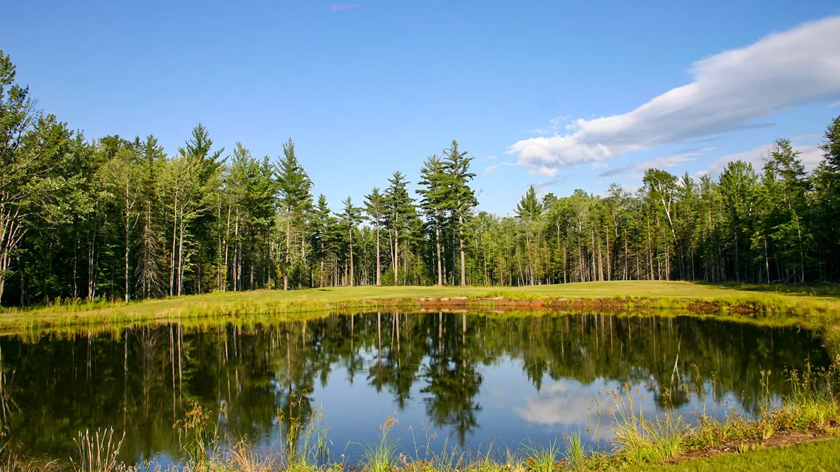 Northern Wisconsin - Photo 19