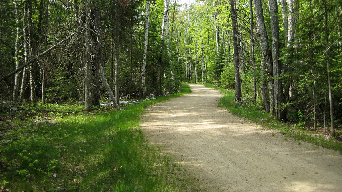 Northern Wisconsin - Photo 21