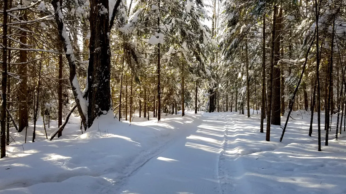 Northern Wisconsin - Photo 23