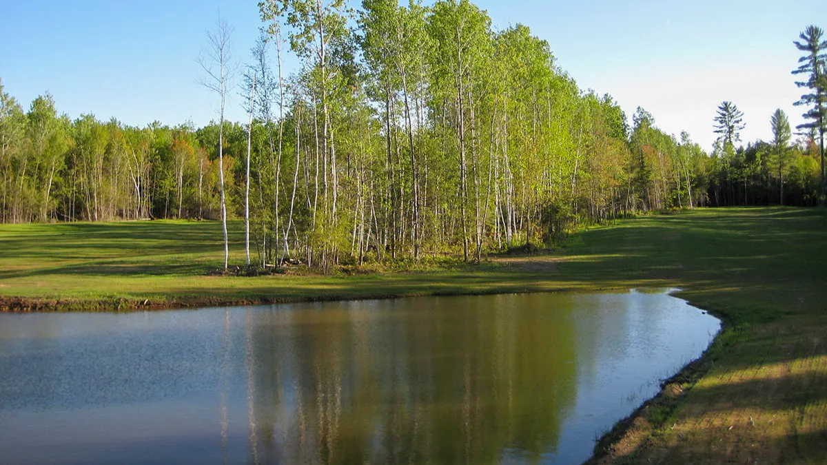 Northern Wisconsin - Photo 27