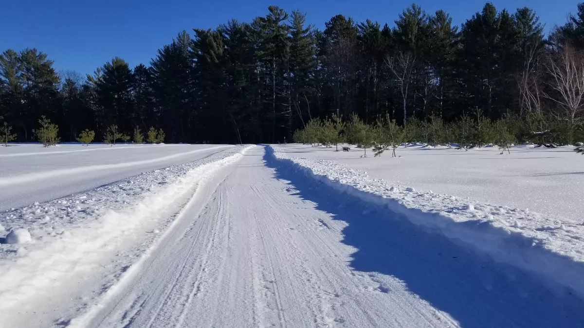 Northern Wisconsin - Photo 30