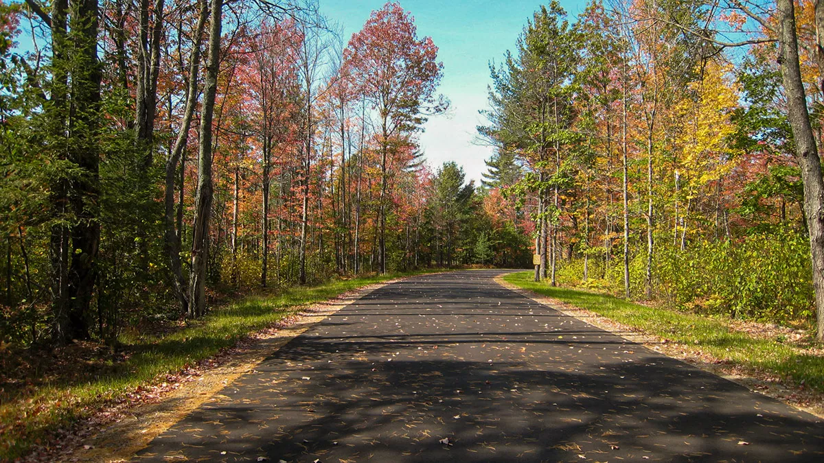 Northern Wisconsin - Photo 31