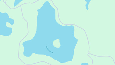 Picture 1 of Constance Lake