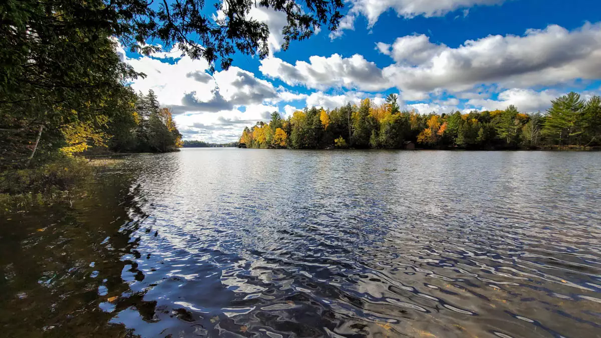 Northern Wisconsin - Photo 2