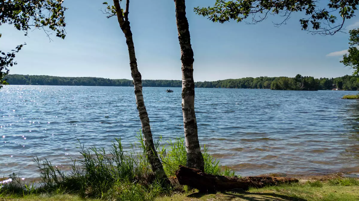 Northern Wisconsin - Photo 2