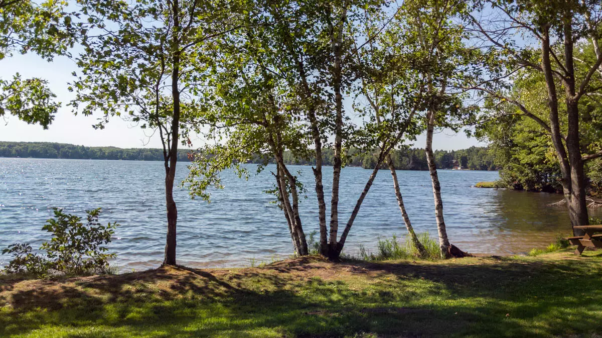 Northern Wisconsin - Photo 8