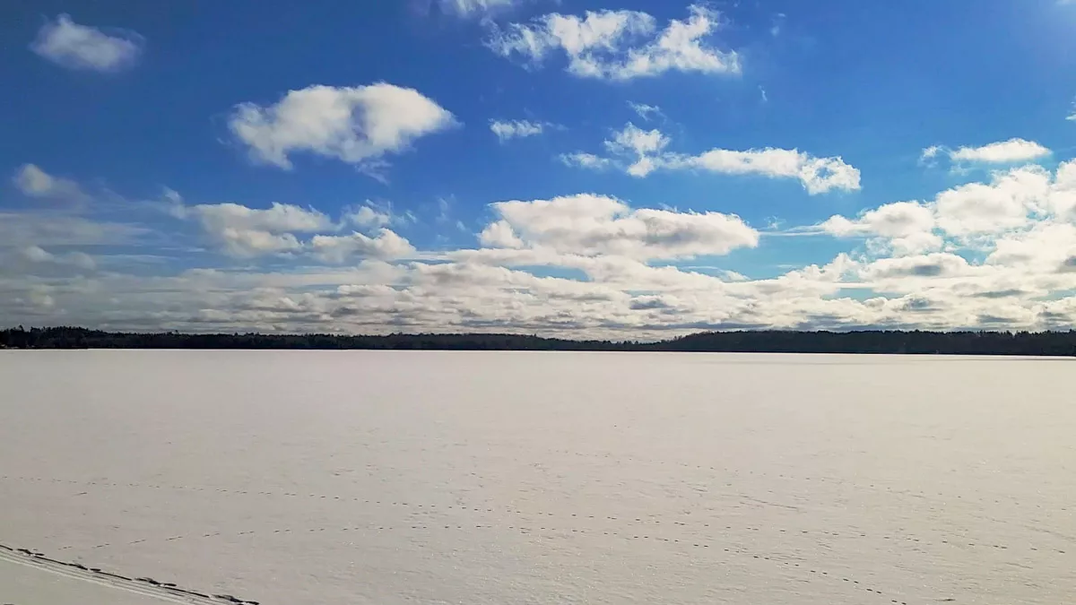 Northern Wisconsin - Photo 2