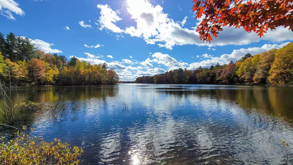 Northern Wisconsin - Photo 2