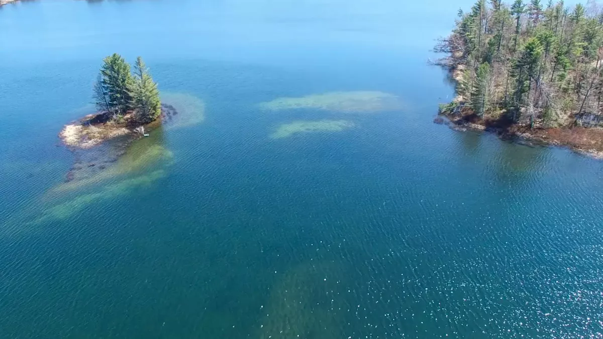 Northern Wisconsin - Photo 10