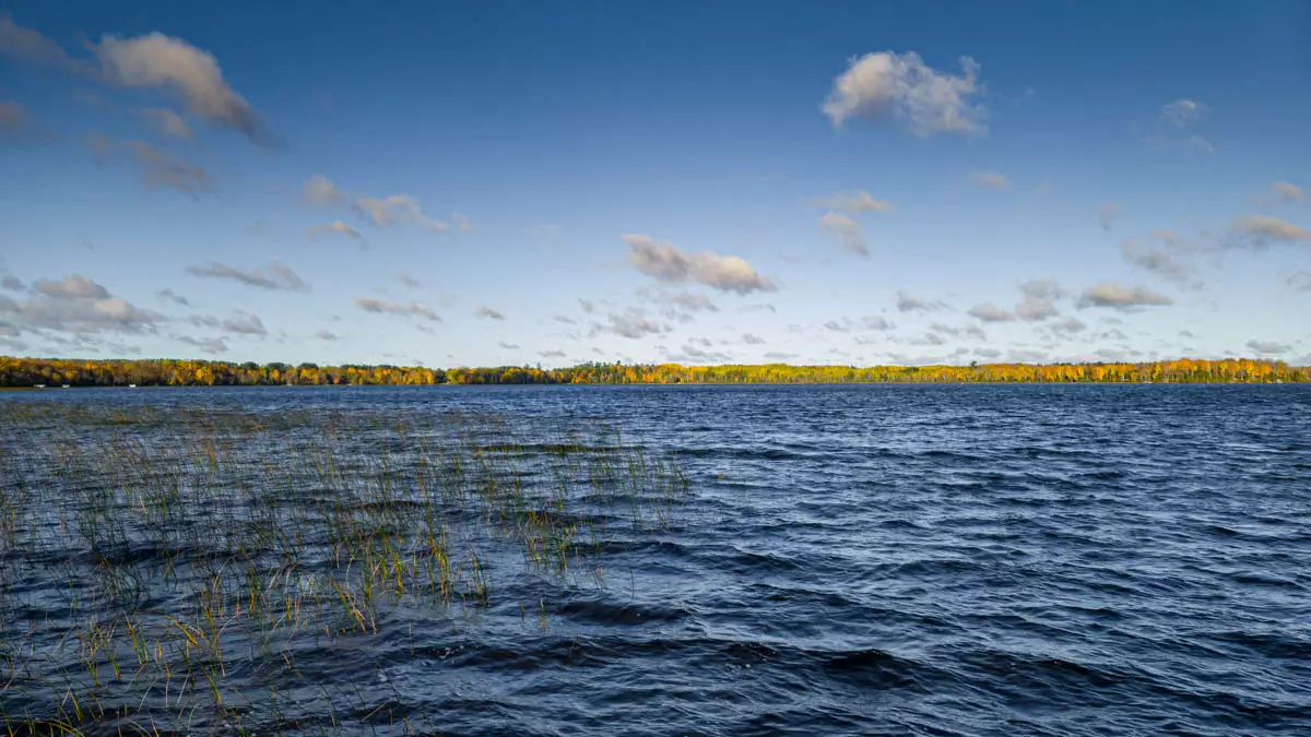 Northern Wisconsin - Photo 2