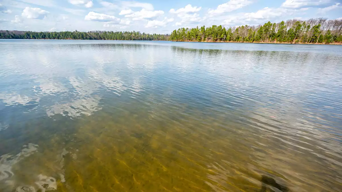 Northern Wisconsin - Photo 9