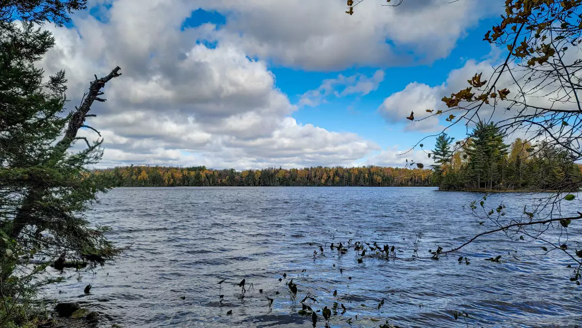 Northern Wisconsin - Photo 3