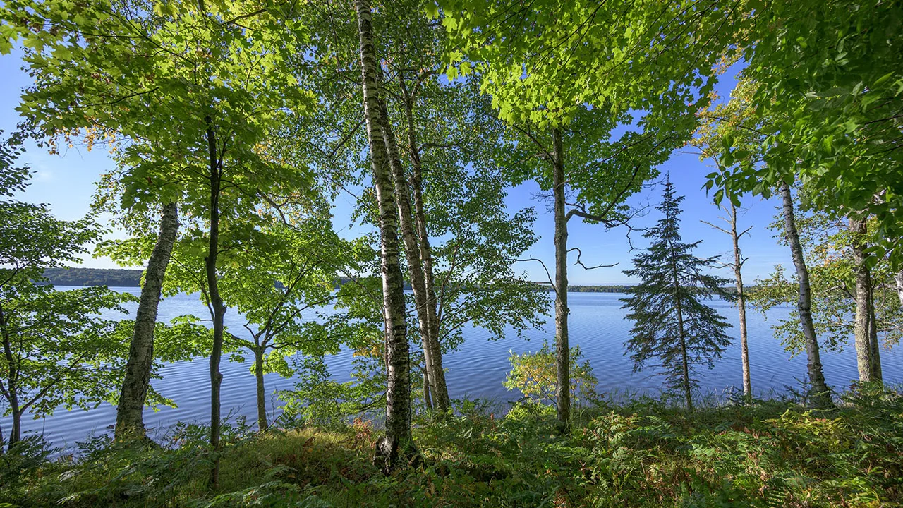 Northern Wisconsin - Photo 8