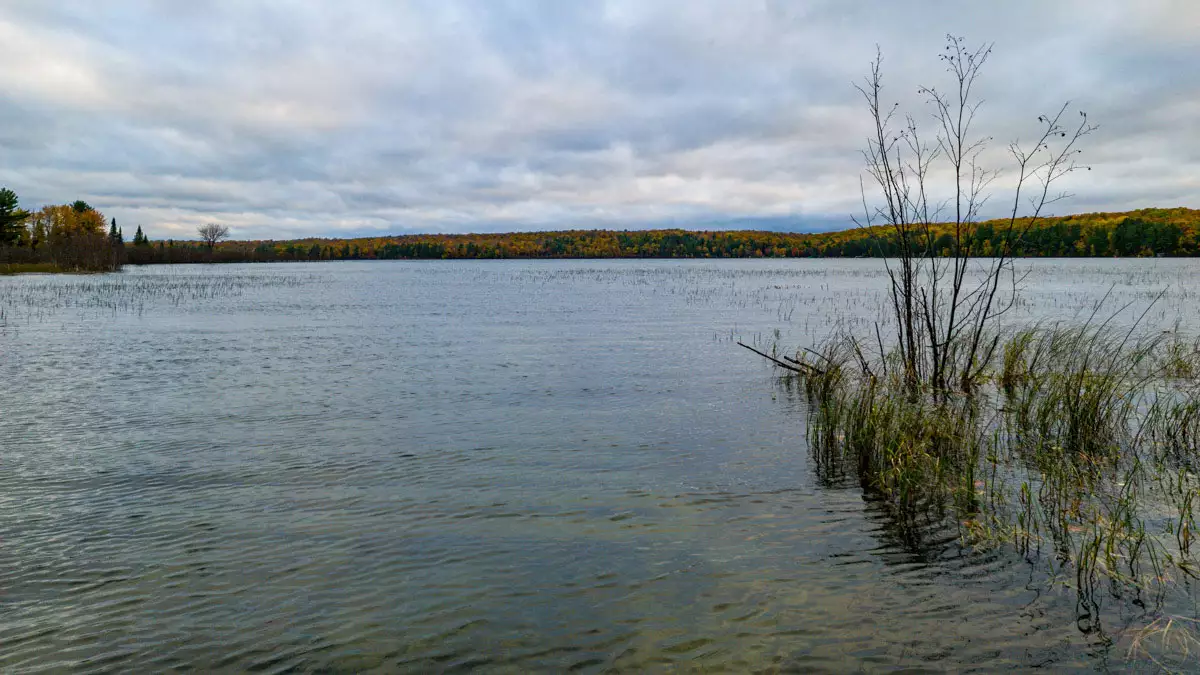 Northern Wisconsin - Photo 2