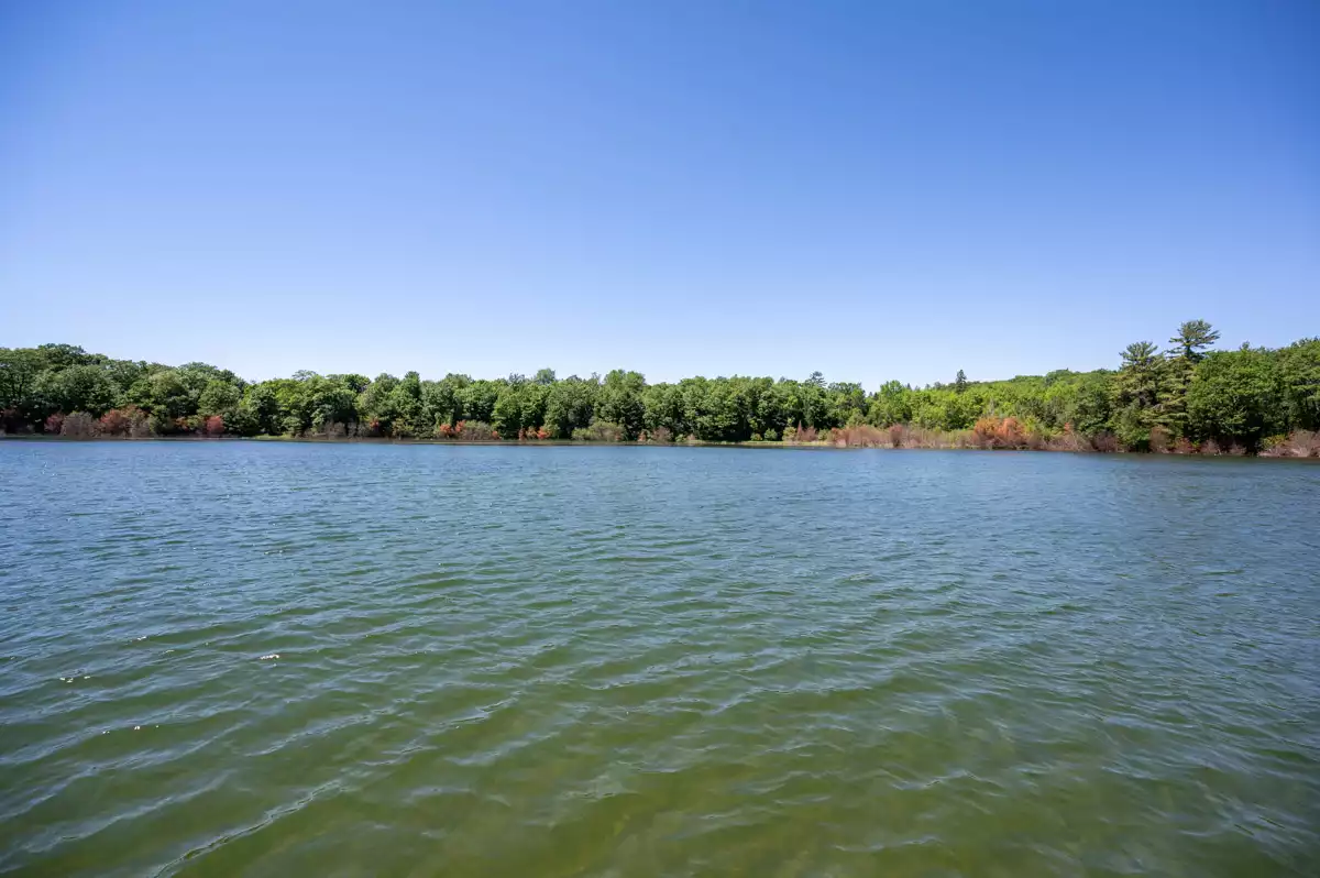 Northern Wisconsin - Photo 8