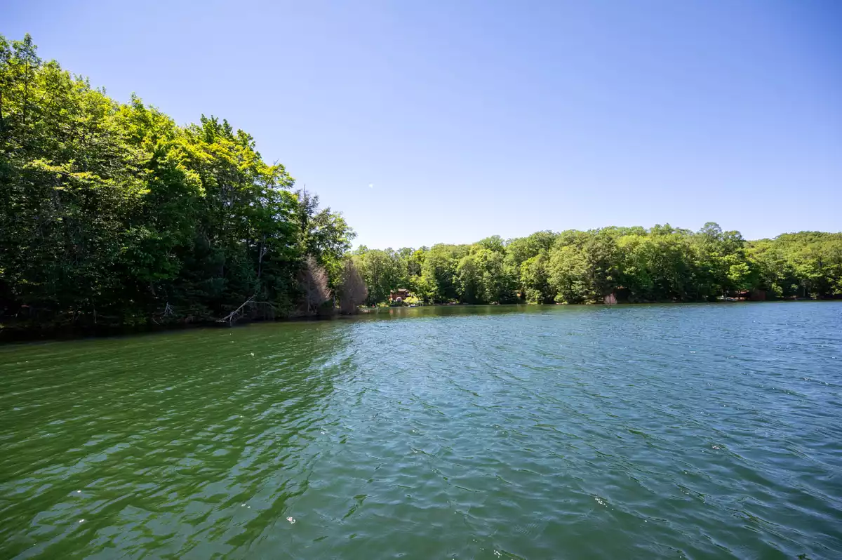 Northern Wisconsin - Photo 10