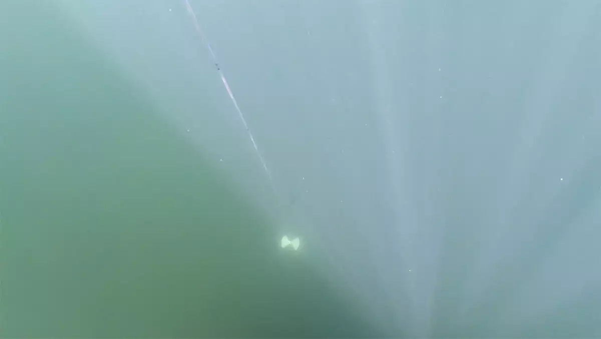 Northern Wisconsin - Photo 11