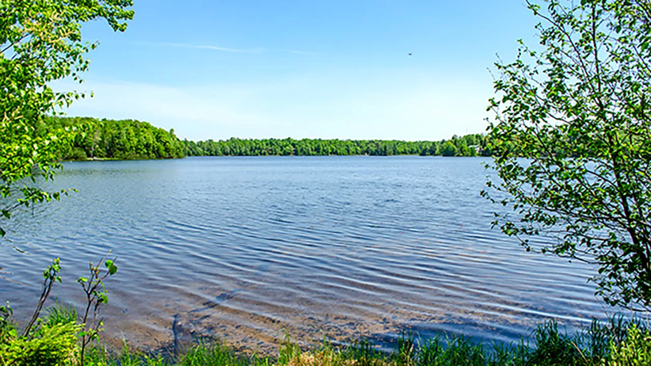 Northern Wisconsin - Photo 3