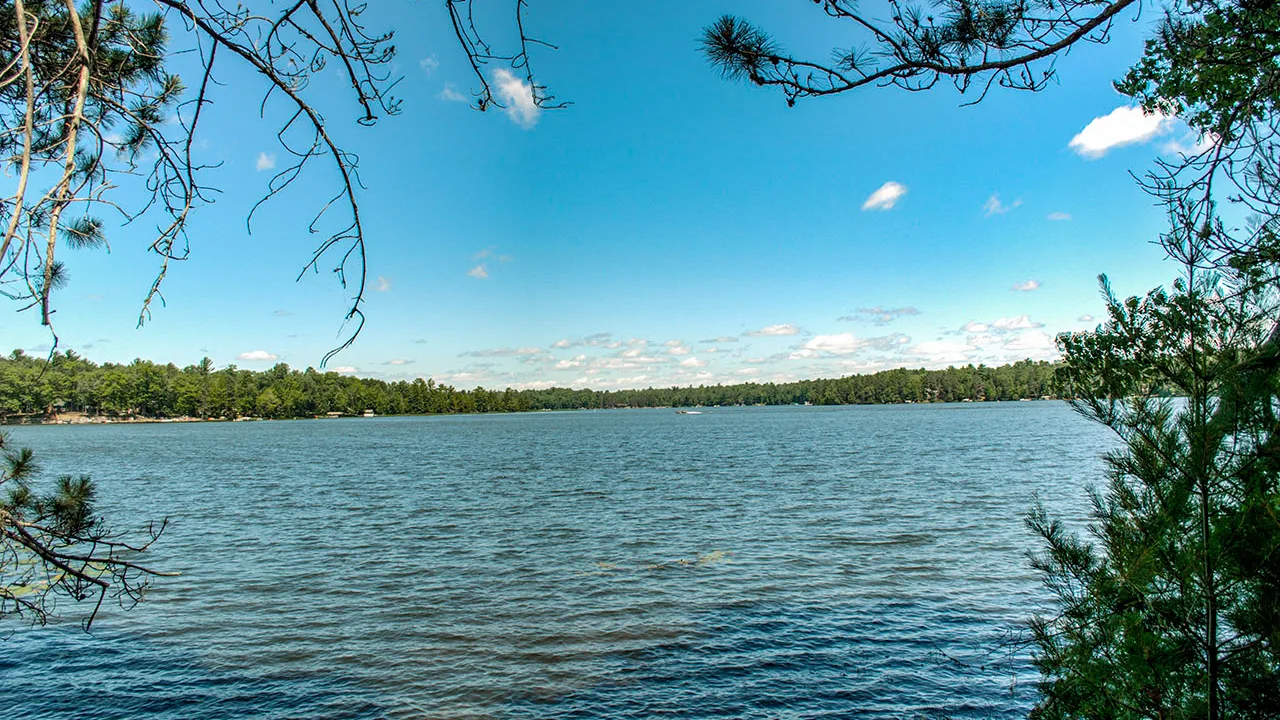 Northern Wisconsin - Photo 9