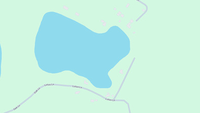 Picture 1 of Lotus Lake