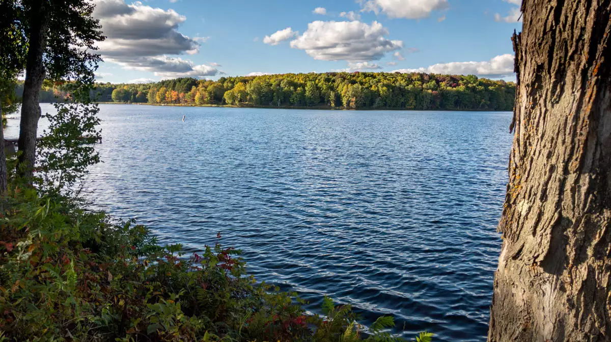 Northern Wisconsin - Photo 2