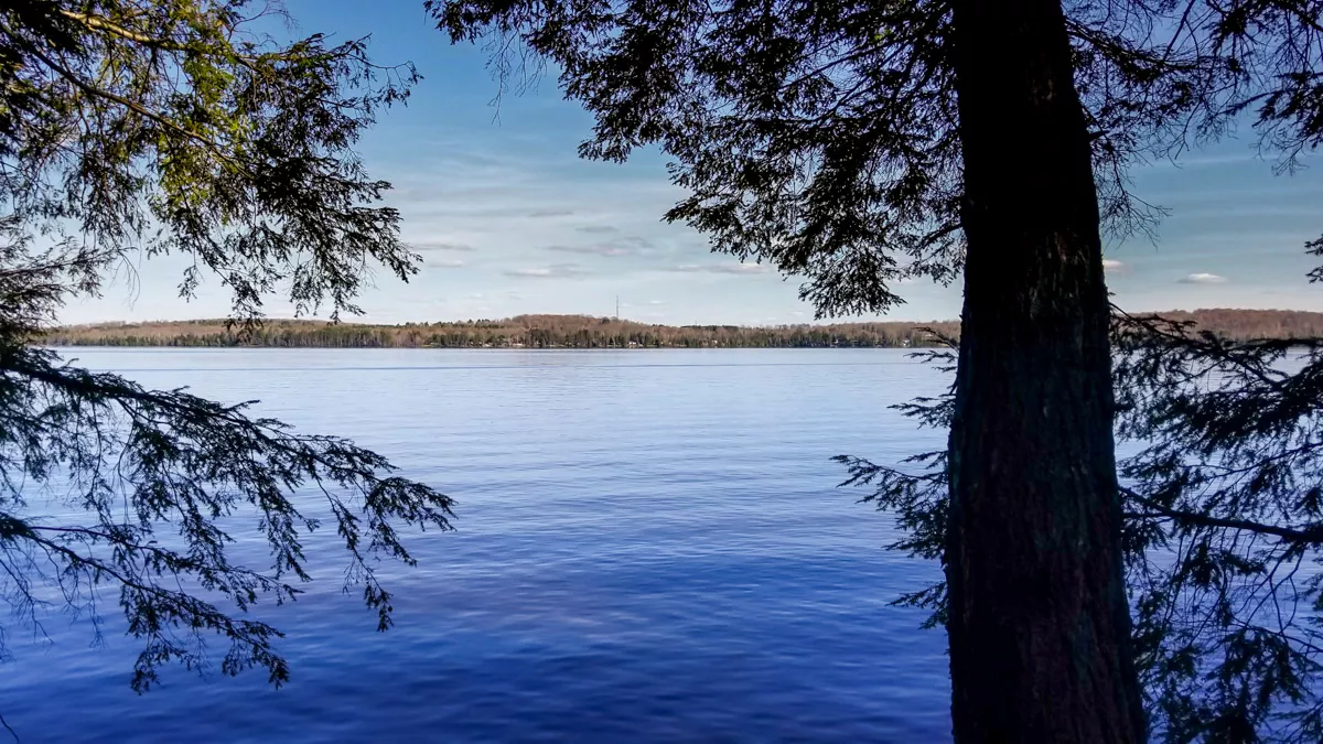 Northern Wisconsin - Photo 4