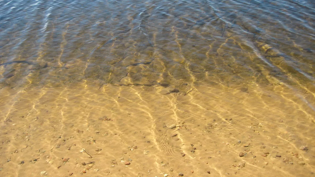 Northern Wisconsin - Photo 8